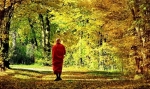 Lời Phật dạy về tám nạn chẳng được tu hành Phạm hạnh