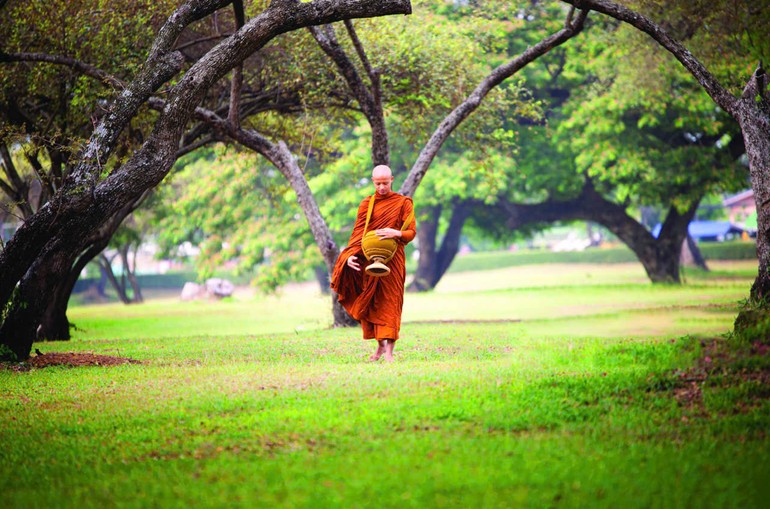 An trú thiền động